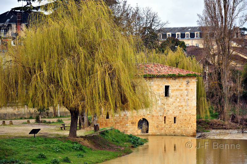 Un saule pleureur orne l'un des moulins de condom. Couleurs rasantes, belle fin d'après midi.